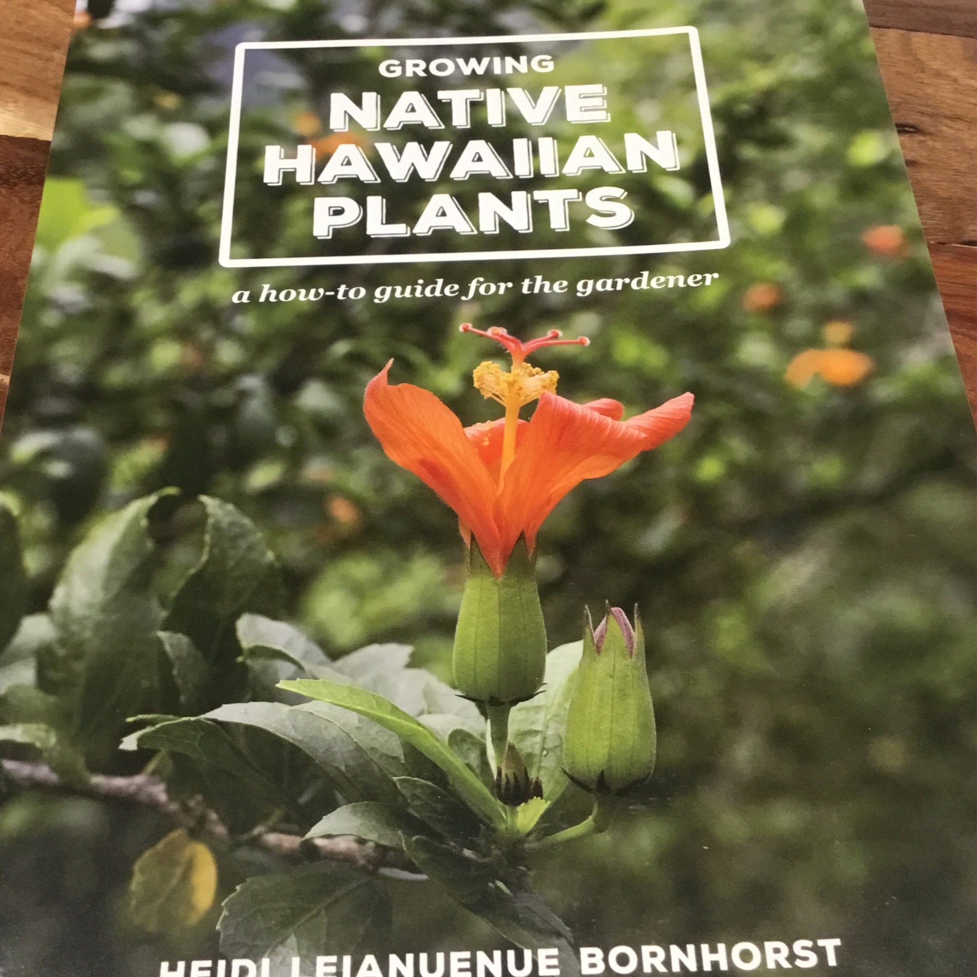 Growing Native Hawaiian Plants Island Nation